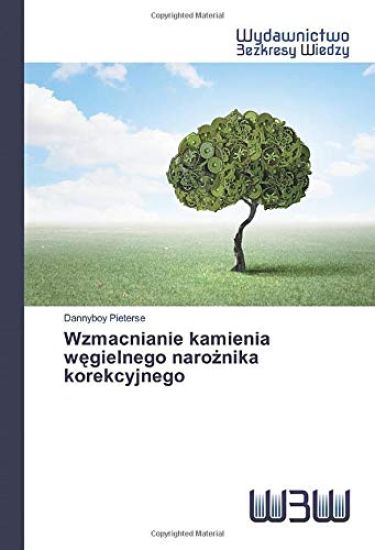 Wzmacnianie kamienia w¿gielnego naro¿nika korekcyjnego