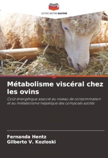 Métabolisme viscéral chez les ovins