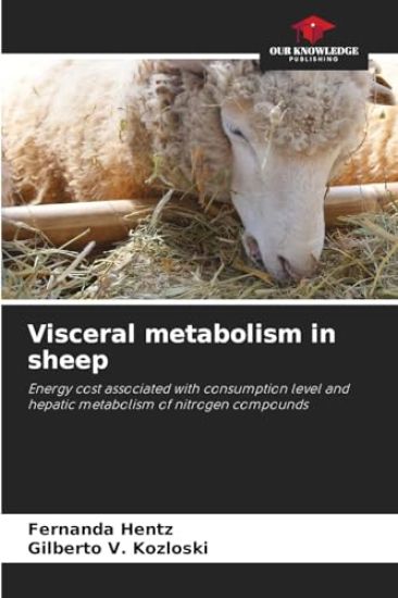 Visceral metabolism in sheep