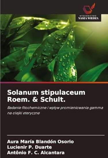 Solanum stipulaceum Roem. & Schult.