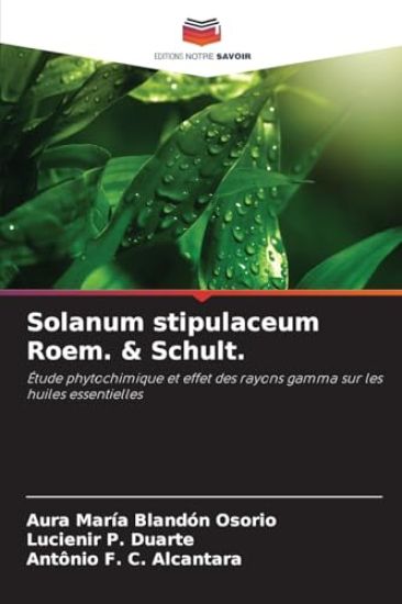 Solanum stipulaceum Roem. & Schult.