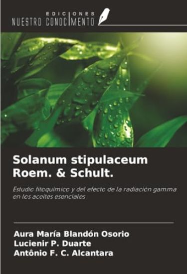 Solanum stipulaceum Roem. & Schult.