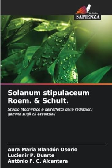 Solanum stipulaceum Roem. & Schult.