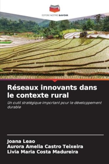 Réseaux innovants dans le contexte rural