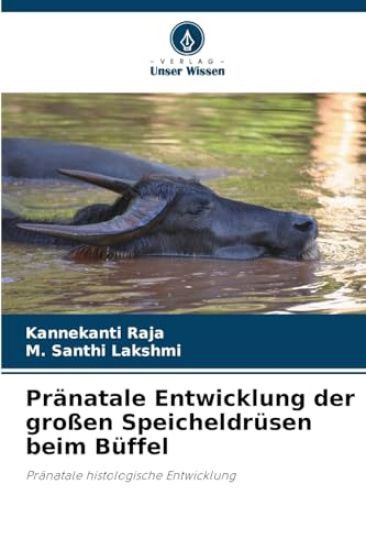 Pränatale Entwicklung der großen Speicheldrüsen beim Büffel