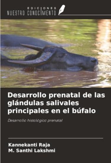 Desarrollo prenatal de las glándulas salivales principales en el búfalo