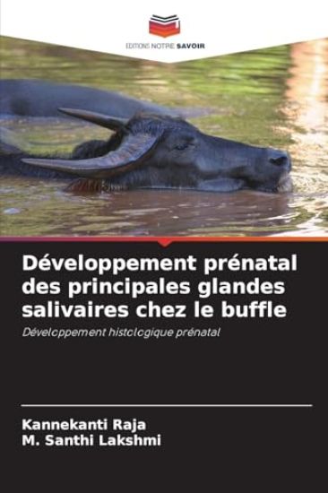Développement prénatal des principales glandes salivaires chez le buffle