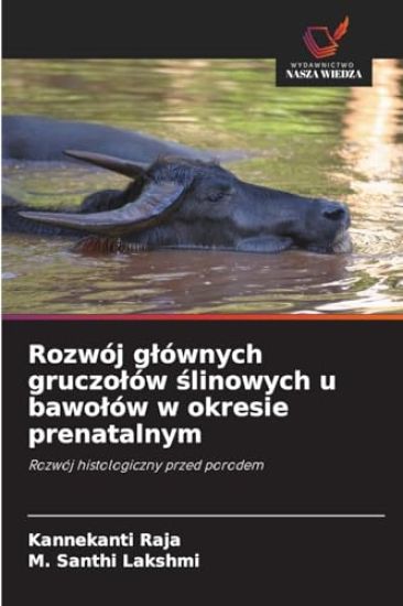 Rozwój glównych gruczolów slinowych u bawolów w okresie prenatalnym