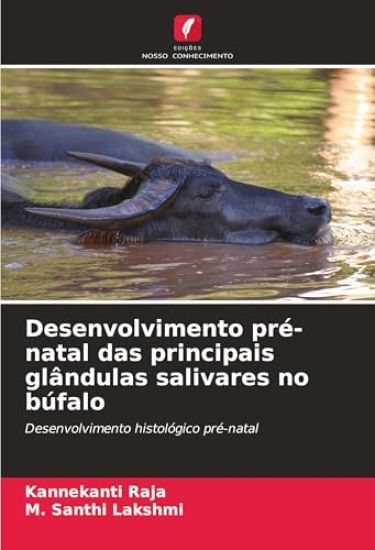 Desenvolvimento pré-natal das principais glândulas salivares no búfalo