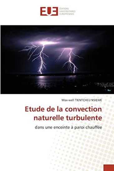 Etude de la convection naturelle turbulente
