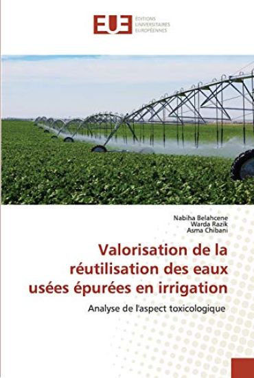 Valorisation de la réutilisation des eaux usées épurées en irrigation
