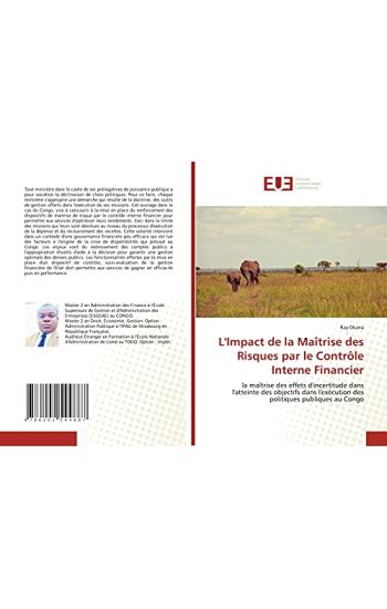 L'Impact de la Maîtrise des Risques par le Contrôle Interne Financier