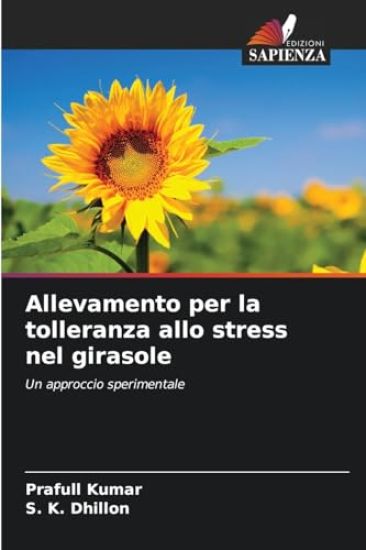 Allevamento per la tolleranza allo stress nel girasole