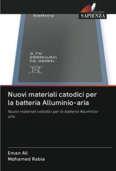 Nuovi materiali catodici per la batteria Alluminio-aria