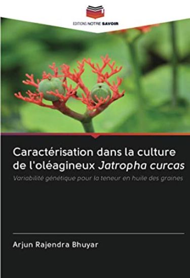 Caractérisation dans la culture de l'oléagineux Jatropha curcas