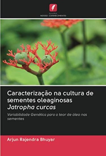 Caracterização na cultura de sementes oleaginosas Jatropha curcas