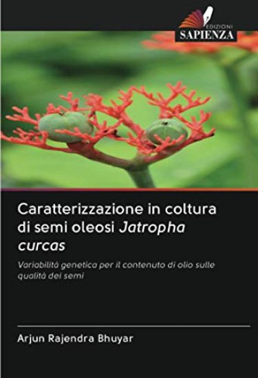 Caratterizzazione in coltura di semi oleosi Jatropha curcas