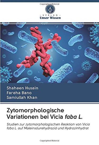 Zytomorphologische Variationen bei Vicia faba L.