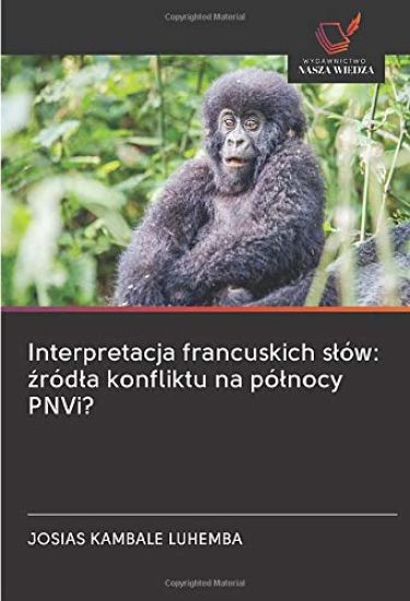 Interpretacja francuskich s¿ów: ¿ród¿a konfliktu na pó¿nocy PNVi?