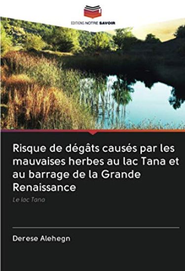 Risque de dégâts causés par les mauvaises herbes au lac Tana et au barrage de la Grande Renaissance