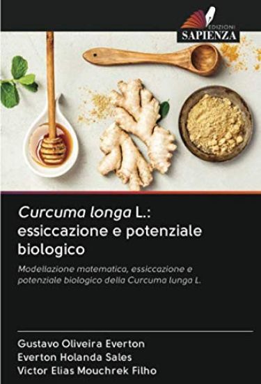 Curcuma longa L.: essiccazione e potenziale biologico
