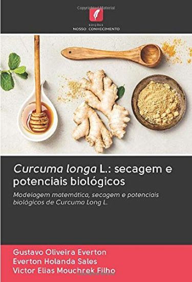 Curcuma longa L.: secagem e potenciais biológicos
