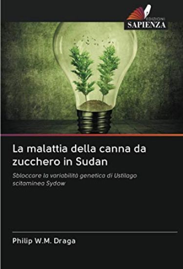 La malattia della canna da zucchero in Sudan