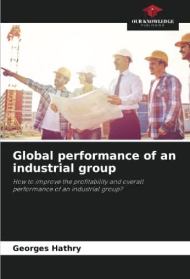 Global performance of an industrial group