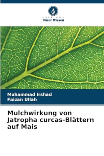 Mulchwirkung von Jatropha curcas-Blättern auf Mais