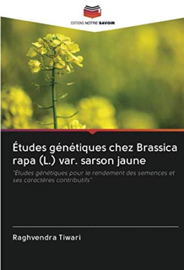 Études génétiques chez Brassica rapa (L.) var. sarson jaune