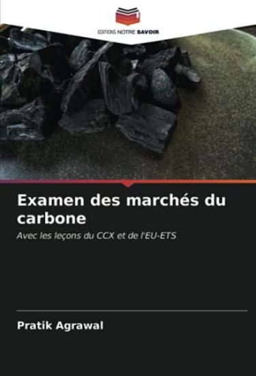 Examen des marchés du carbone