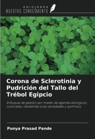 Corona de Sclerotinia y Pudrición del Tallo del Trébol Egipcio