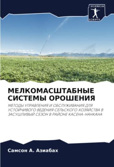 MELKOMASShTABNYE SISTEMY OROShENIYa