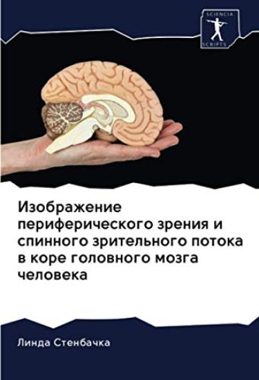 Izobrazhenie perifericheskogo zreniq i spinnogo zritel'nogo potoka w kore golownogo mozga cheloweka