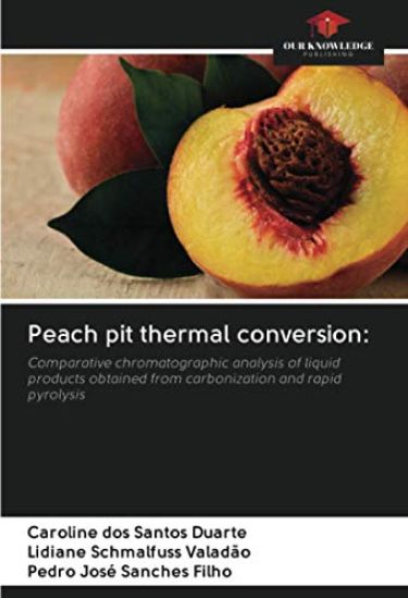 Peach pit thermal conversion: