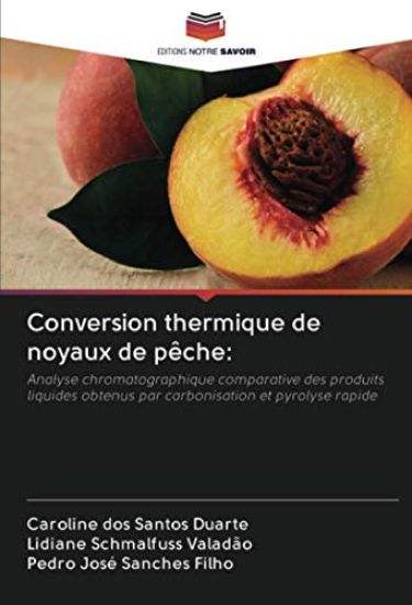 Conversion thermique de noyaux de pêche: