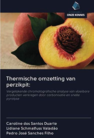 Thermische omzetting van perzikpit: