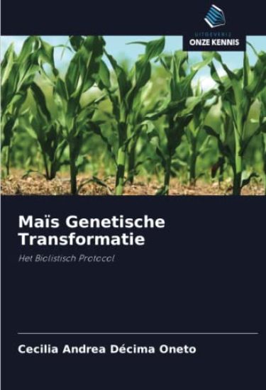 Maïs Genetische Transformatie