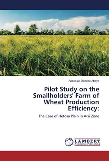 Pilot Study on the Smallholders' Farm of Wheat Production Efficiency: