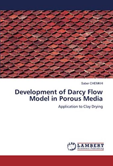 Development of Darcy Flow Model in Porous Media