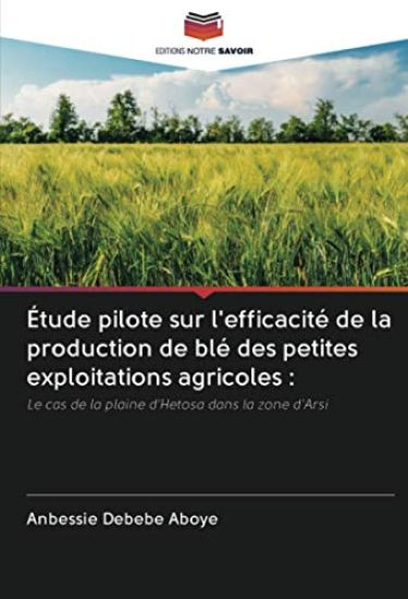 Étude pilote sur l'efficacité de la production de blé des petites exploitations agricoles :