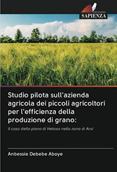 Studio pilota sull'azienda agricola dei piccoli agricoltori per l'efficienza della produzione di grano: