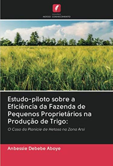 Estudo-piloto sobre a Eficiência da Fazenda de Pequenos Proprietários na Produção de Trigo: