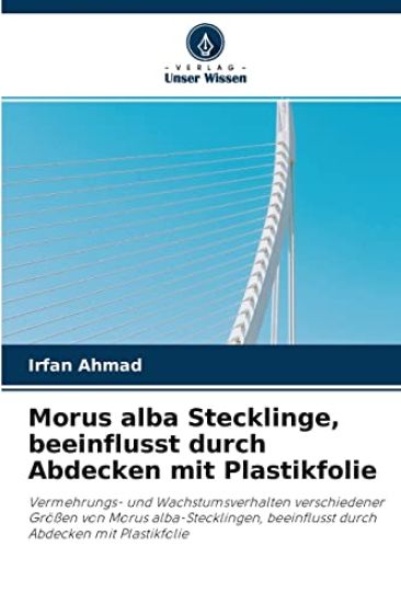 Morus alba Stecklinge, beeinflusst durch Abdecken mit Plastikfolie