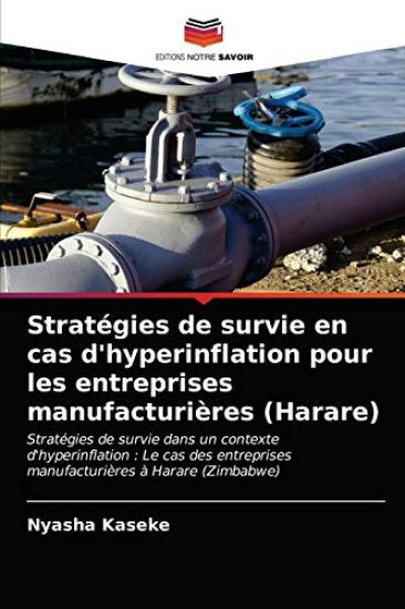 Stratégies de survie en cas d'hyperinflation pour les entreprises manufacturières (Harare)