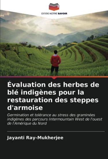 Évaluation des herbes de blé indigènes pour la restauration des steppes d'armoise
