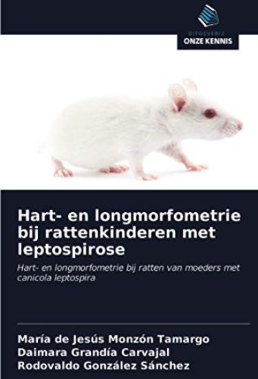 Hart- en longmorfometrie bij rattenkinderen met leptospirose