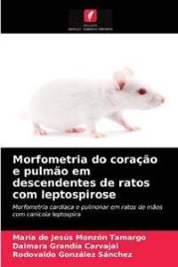Morfometria do coração e pulmão em descendentes de ratos com leptospirose