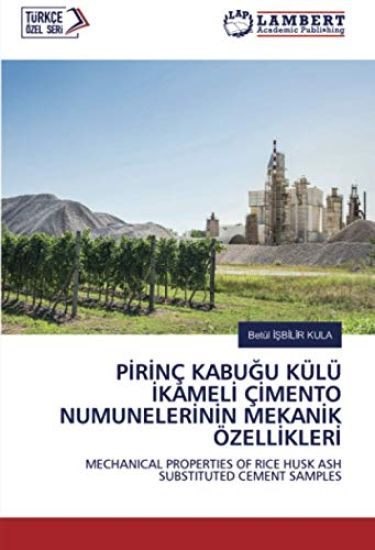 P¿R¿NÇ KABU¿U KÜLÜ ¿KAMEL¿ Ç¿MENTO NUMUNELER¿N¿N MEKAN¿K ÖZELL¿KLER¿