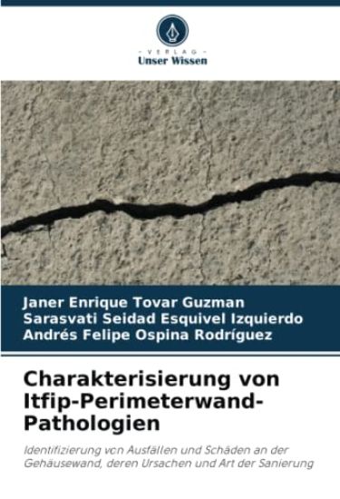 Charakterisierung von Itfip-Perimeterwand-Pathologien